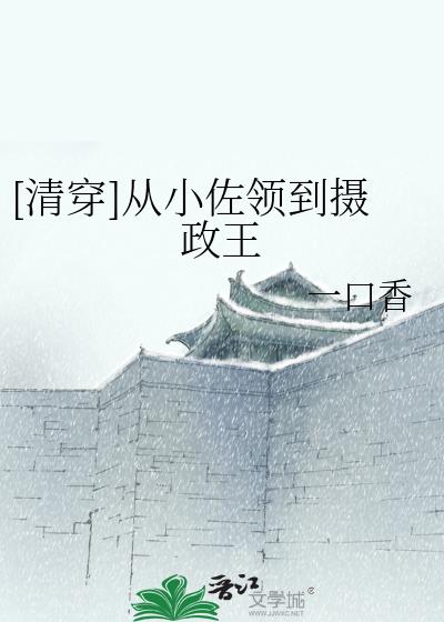 清穿从小佐领到摄政王的小说